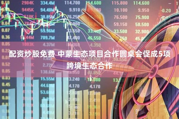 配资炒股免费 中蒙生态项目合作圆桌会促成5项跨境生态合作