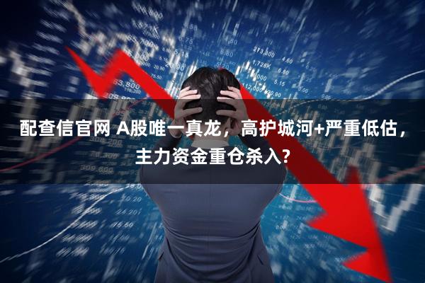 配查信官网 A股唯一真龙，高护城河+严重低估，主力资金重仓杀入?